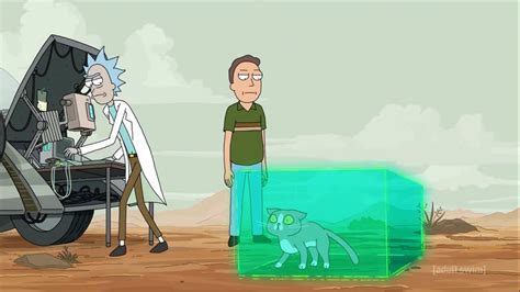 Rick and Morty — Talking Cats true meaning finally revealed